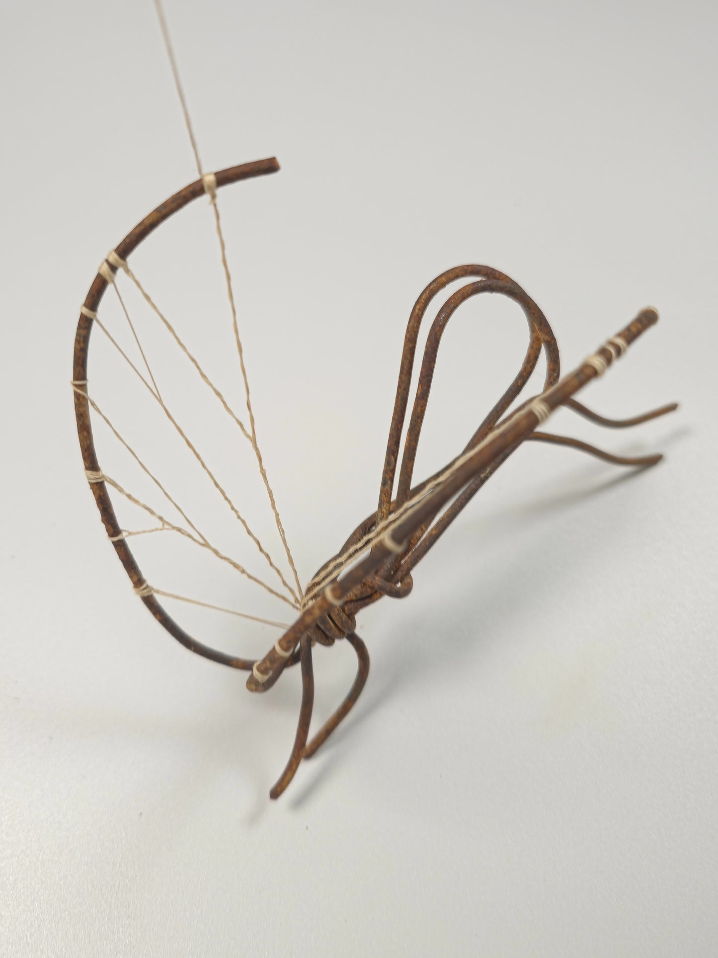 Mosquito