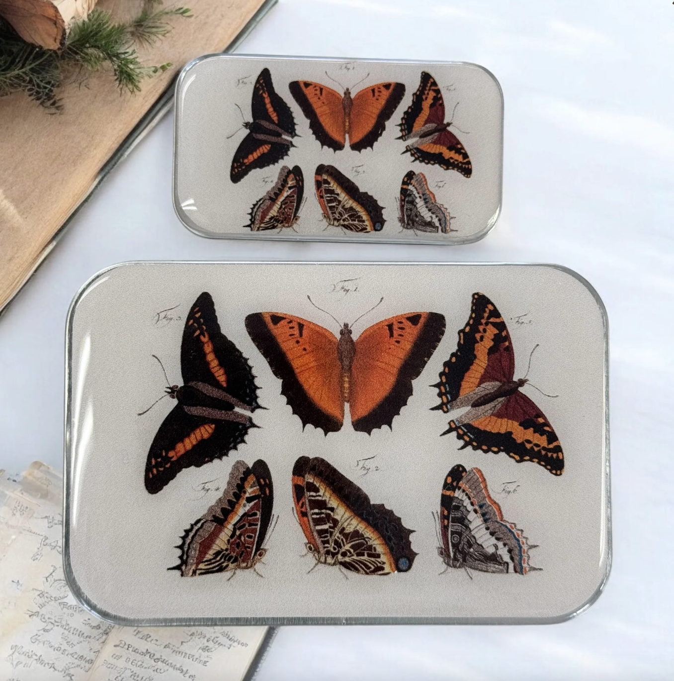 Notions Tins - Firefly Notes