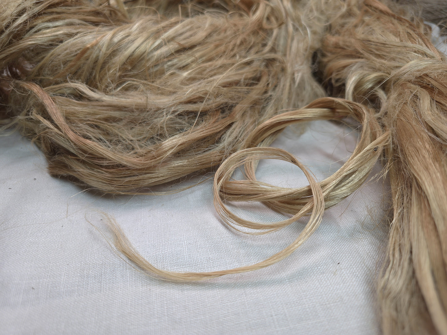 Jute Fibre