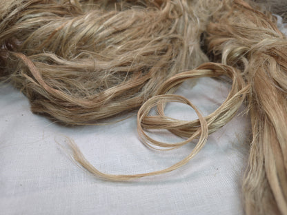 Jute Fibre