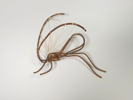 Mosquito