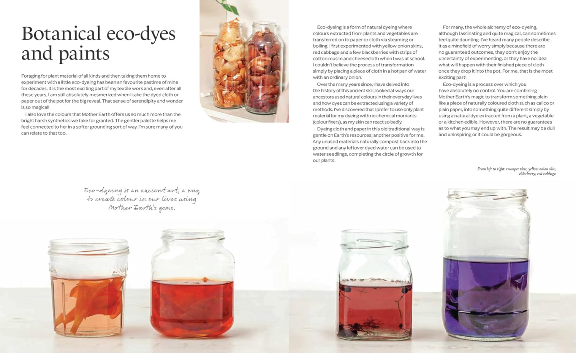 Connecting with Nature