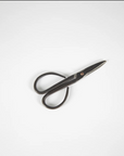 Crafting Scissors